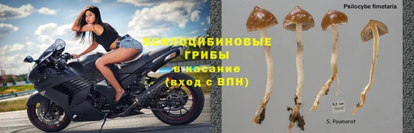 стафф Абаза