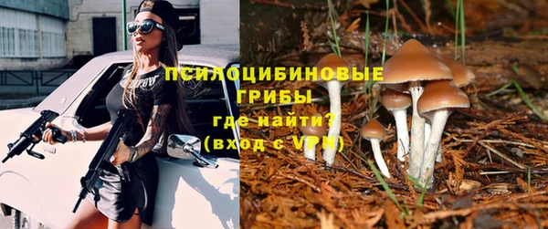 стафф Абаза