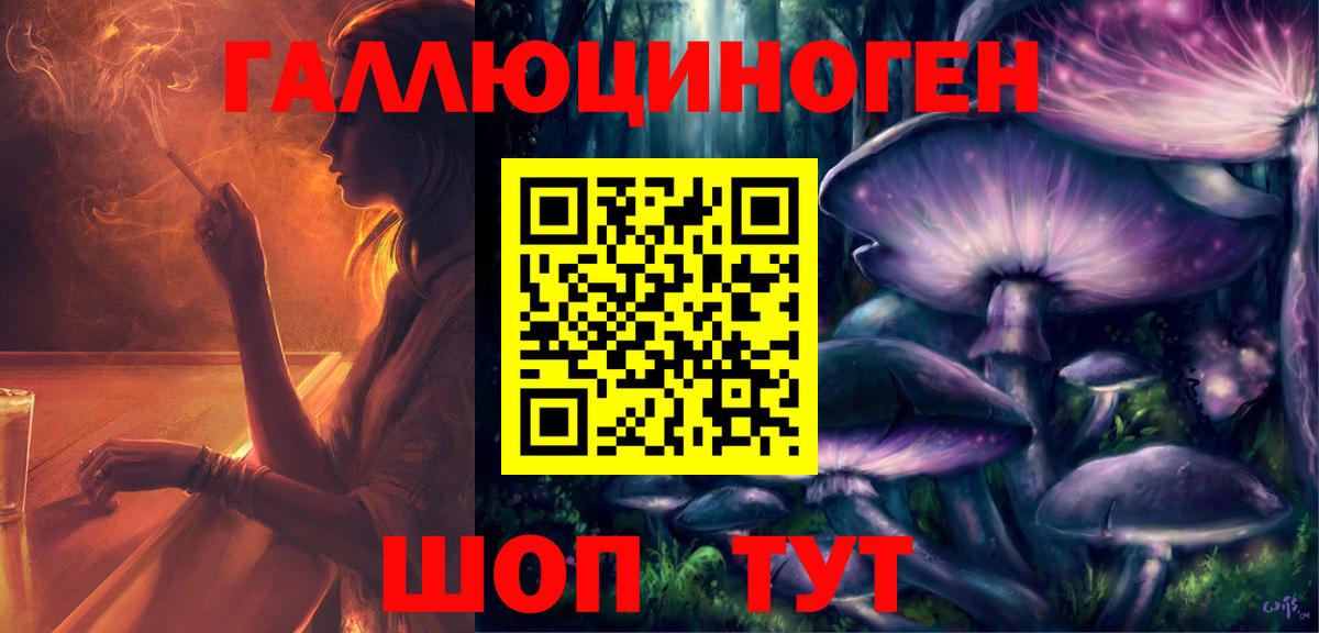 Псилоцибиновые грибы Psilocybe  Вход с VPN  Псилоцибиновые грибы Psilocybe  Копейск 