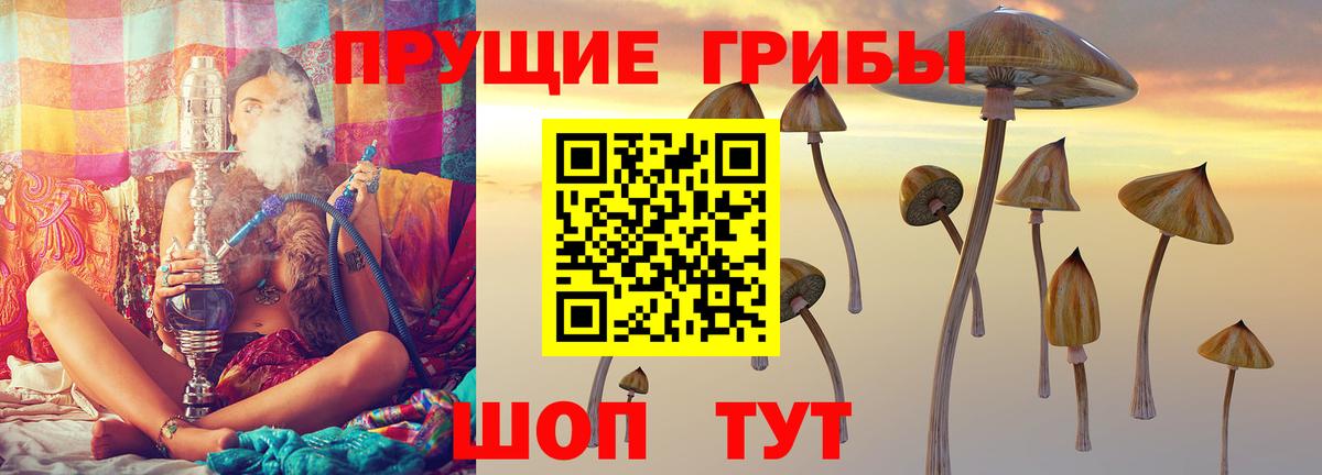 Псилоцибиновые грибы мухоморы Копейск